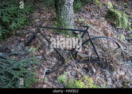 Ein altes Fahrrad in der Nuuksio Nationalpark, Espoo, Finnland, EU Stockfoto