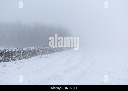 Matlock, Derbyshire, UK. 12. Februar 2016. Heftige Schneefälle in den Derbyshire Dales, in der Nähe von Matlock und Umgebung. Derbyshire Grafschaftsrat Salzstreuer sind aufgrund von Frost und eisigen Bedingungen. Bildnachweis: Ian Francis/Alamy Live-Nachrichten Stockfoto