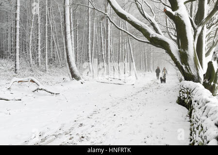 Matlock, Derbyshire, UK. 12. Februar 2017. Heftige Schneefälle in den Derbyshire Dales, in der Nähe von Matlock und Umgebung. Derbyshire Grafschaftsrat Salzstreuer sind aufgrund von Frost und eisigen Bedingungen. Bildnachweis: Ian Francis/Alamy Live-Nachrichten Stockfoto