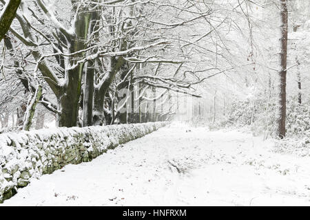 Matlock, Derbyshire, UK:Heavy Schneefall in Derbyshire Dales, in der Nähe von Matlock und Umgebung. Derbyshire Grafschaftsrat Salzstreuer sind aufgrund von Frost und eisigen Bedingungen. Bildnachweis: Ian Francis/Alamy Live-Nachrichten Stockfoto