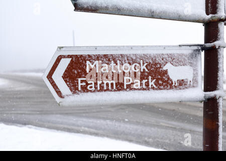 Matlock, Derbyshire, UK. 12. Februar 2016. Heftige Schneefälle in den Derbyshire Dales, in der Nähe von Matlock und Umgebung. Derbyshire Grafschaftsrat Salzstreuer sind aufgrund von Frost und eisigen Bedingungen. Bildnachweis: Ian Francis/Alamy Live-Nachrichten Stockfoto