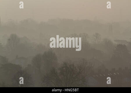 Wimbledon London, UK. 13. Februar 2017. Wimbledon Landschaft und Tree tops gebadet in dunstigen Sonnenschein wie wärmere Temperaturen prognostiziert werden, bringen ein Tauwetter in London und in vielen Teilen des Vereinigten Königreichs: Amer Ghazzal/Alamy Live-Nachrichten Stockfoto