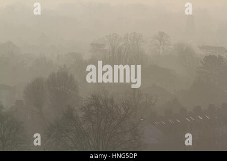 Wimbledon London, UK. 13. Februar 2017. Wimbledon Landschaft und Tree tops gebadet in dunstigen Sonnenschein wie wärmere Temperaturen prognostiziert werden, bringen ein Tauwetter in London und in vielen Teilen des Vereinigten Königreichs: Amer Ghazzal/Alamy Live-Nachrichten Stockfoto