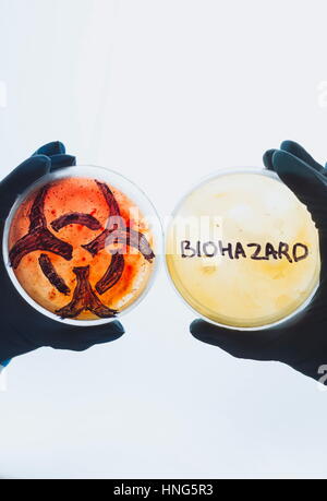 Hände halten Petrischalen mit Biohazard Symbol Wortzeichen. Schmutzwasser-Food-Konzept. Gefährliche Infektionskrankheit. Medizinische Labor Test Forschung. Stockfoto