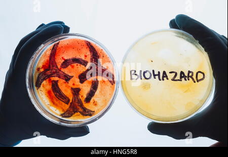 Hände halten Petrischalen mit Biohazard Symbol Wortzeichen. Schmutzwasser-Food-Konzept. Gefährliche Infektionskrankheit. Medizinische Labor Test Forschung. Stockfoto