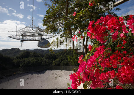 Arecibo-Observatorium, Arecibo, Puerto Rico Stockfoto