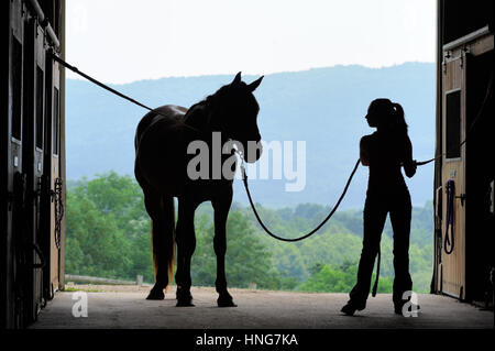 Junge Frau Silhouette mit Pferd in Schwellen in offenen Scheunentor, Vorbereitung, Sattel, Pennsylvania, PA, USA. Stockfoto