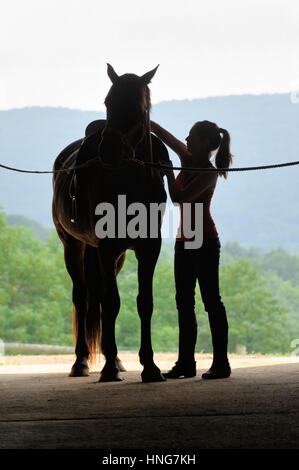 Junge Frau, satteln ihr Pferd in offenen Scheunentor, das Tier Silhouette in Kreuz Krawatten gebunden. Stockfoto
