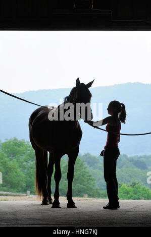 Junge Frau mit Pferd in offenen Scheunentor Silhouette Pflege grenzüberschreitenden Beziehungen immer bereit zu fahren. Stockfoto