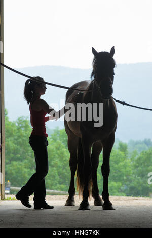 Junge Frau mit Pferd in offenen Scheunentor Silhouette, Stockfoto