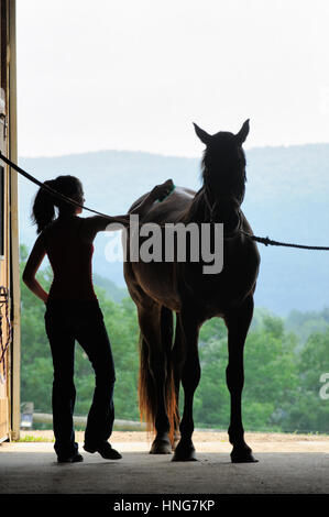 Junge Frau, die Pflege ihres Pferdes in Schwellen Silhouette in offenen Scheunentor, Stockfoto