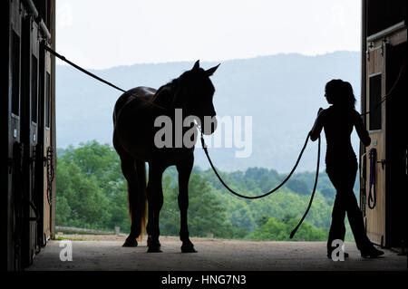 Junge Frau Silhouette mit Pferd im Stall-Tür öffnen, indem das Tier in grenzüberschreitenden Beziehungen immer bereit zu pflegen. Stockfoto
