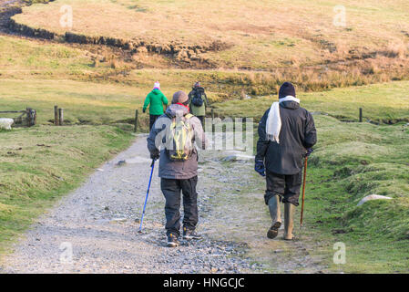Eine Gruppe von Wanderern auf grobe Tor, als ein Gebiet von außergewöhnlicher natürlicher Schönheit auf Bodmin Moor in Cornwall bezeichnet. Stockfoto