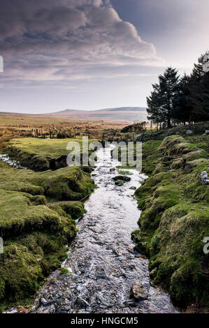 Ein kleiner Fluss läuft durch sumpfigen Boden auf grobe Tor, als ein Gebiet von außergewöhnlicher natürlicher Schönheit auf Bodmin Moor in Cornwall bezeichnet. Stockfoto