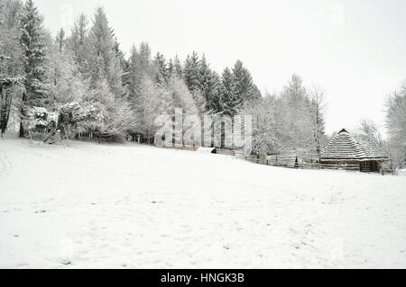 Authentische ukrainischen Dorf mit Holzhütten und Zäune im Winter. Skansen Shevchenkivskyi Hai, Lemberg, Ukraine. Stockfoto