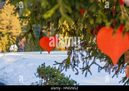 Papier rote Herzen hängen vom Tannenzweig in Valentinstag Stockfoto