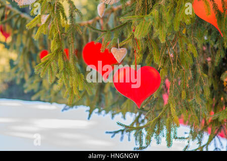 Papier rote Herzen hängen vom Tannenzweig in Valentinstag Stockfoto