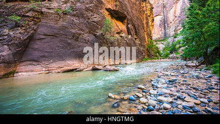 Zion schmal mit vergin Fluss im Zion Nationalpark, Utah, Usa. Stockfoto