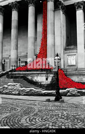 Eine digitale Malerei von Mohnblumen auf St Georges Hall Liverpool UK Stockfoto