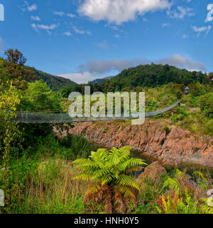 Buller Gorge Swing Bridge über Buller River, Tasman Region, Southland, Neuseeland Stockfoto