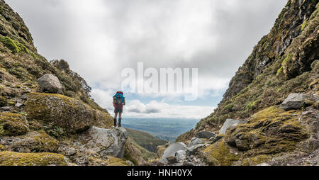 Wanderer steht am Hang, Pouakai Circuit, Egmont National Park, Taranaki, Nordinsel, Neuseeland Stockfoto