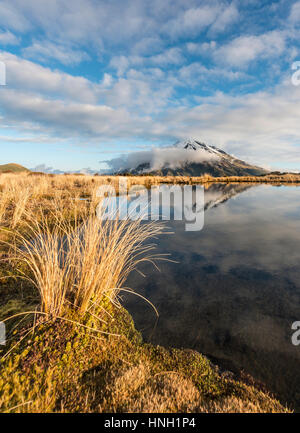 Reflexion im Pouakai Tarn, Stratovulkan Mount Taranaki oder Mount Egmont, Egmont National Park, Taranaki, Neuseeland Stockfoto