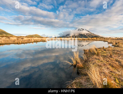 Reflexion im Pouakai Tarn, Stratovulkan Mount Taranaki oder Mount Egmont, Egmont National Park, Taranaki, Neuseeland Stockfoto