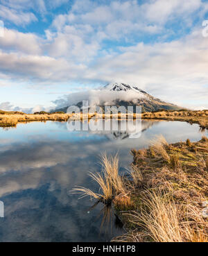 Reflexion im Pouakai Tarn, Stratovulkan Mount Taranaki oder Mount Egmont, Egmont National Park, Taranaki, Neuseeland Stockfoto