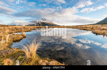 Reflexion im Pouakai Tarn, Stratovulkan Mount Taranaki oder Mount Egmont, Egmont National Park, Taranaki, Neuseeland Stockfoto