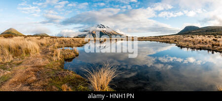 Reflexion im Pouakai Tarn, Stratovulkan Mount Taranaki oder Mount Egmont, Egmont National Park, Taranaki, Neuseeland Stockfoto