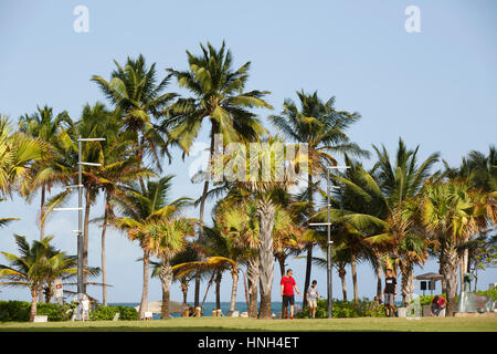 Palm von Bäumen gesäumten Ufer im Parque Ventana al Mar, Condado, San Juan, Puerto Rico Stockfoto