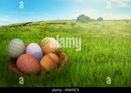 Ostereier im Nest auf der grünen Wiese vor blauem Himmelshintergrund Stockfoto