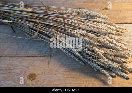 Garbe Weizen auf dem alten Schreibtisch aus Holz Stockfoto