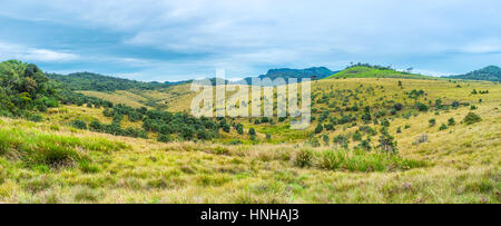 Panoramablick auf die Horton Plains Vegetation Landschaft, Sri Lanka Stockfoto
