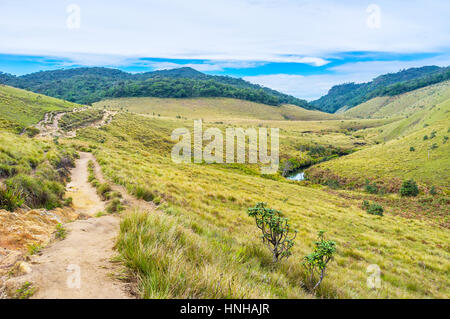 Der vor-und Nachsaison ist die beste Zeit, um allein mit der Natur in Horton Plains, Sri Lanka Stockfoto