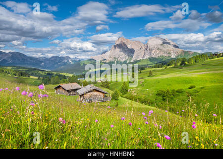 Schöne Aussicht auf die idyllische Bergkulisse der Alpen mit traditionellen alten Chalets und frischen grünen Wiesen an einem sonnigen Tag, Alpe di Siusi, Italien Stockfoto