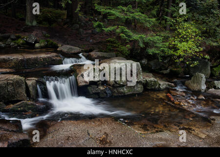 Lomnitz Gebirgsfluss in Wald von Karkonosze Gebirge, Karpacz, Niederschlesien, Sudeten, Polen, Europa Stockfoto