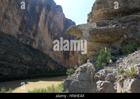 Grünen Kakteen Klammern sich an einer bröckelnden Felswand des Santa Elena Canyon, mit dem Rio Grande fließt schnell unter. USA-Grenze zu Mexiko Stockfoto