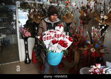 Kabul, Afghanistan. 13. Februar 2017. Ein Ladenbesitzer trägt Blüten in seinem Laden vor Valentinstag in Kabul, Hauptstadt von Afghanistan, 13. Februar 2017. Bildnachweis: Rahmat Alizadah/Xinhua/Alamy Live-Nachrichten Stockfoto