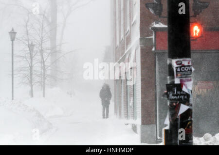 Halifax, Kanada. 13. Februar 2017. Blizzard-Bedingungen Zerschlage die Innenstadt von Halifax, N.S., 13. Februar, 2017.Credit: Lee Brown/Alamy Live News Stockfoto