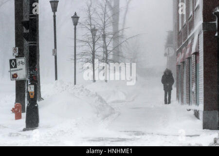 Halifax, Kanada. 13. Februar 2017. Blizzard-Bedingungen Zerschlage die Innenstadt von Halifax, N.S., 13. Februar, 2017.Credit: Lee Brown/Alamy Live News Stockfoto