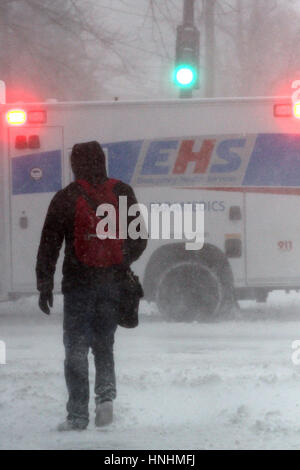 Halifax, Kanada. 13. Februar 2017. Blizzard-Bedingungen Zerschlage die Innenstadt von Halifax, N.S., 13. Februar, 2017.Credit: Lee Brown/Alamy Live News Stockfoto