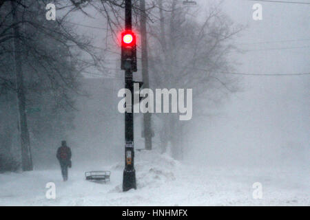 Halifax, Kanada. 13. Februar 2017. Blizzard-Bedingungen Zerschlage die Innenstadt von Halifax, N.S., 13. Februar, 2017.Credit: Lee Brown/Alamy Live News Stockfoto