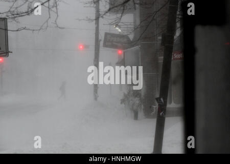 Halifax, Kanada. 13. Februar 2017. Blizzard-Bedingungen Zerschlage die Innenstadt von Halifax, N.S., 13. Februar, 2017.Credit: Lee Brown/Alamy Live News Stockfoto