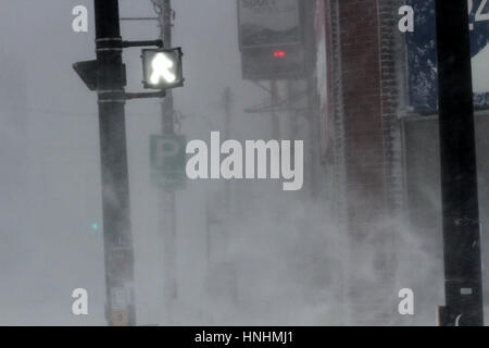 Halifax, Kanada. 13. Februar 2017. Blizzard-Bedingungen Zerschlage die Innenstadt von Halifax, N.S., 13. Februar, 2017.Credit: Lee Brown/Alamy Live News Stockfoto