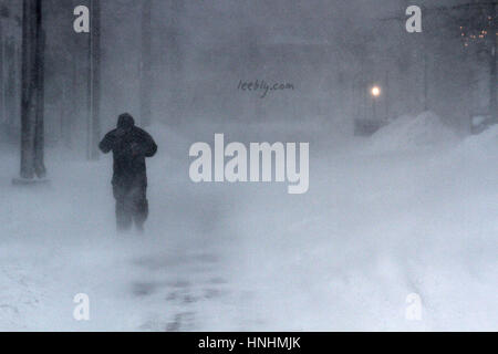 Halifax, Kanada. 13. Februar 2017. Blizzard-Bedingungen Zerschlage die Innenstadt von Halifax, N.S., 13. Februar, 2017.Credit: Lee Brown/Alamy Live News Stockfoto