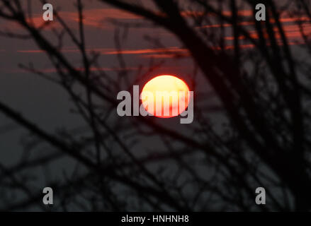 Berlin, Deutschland. 13. Februar 2017. Blick auf den Sonnenaufgang in Berlin, Deutschland, 13. Februar 2017. Foto: Paul Zinken/Dpa/Alamy Live News Stockfoto