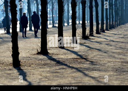 Berlin, Deutschland. 13. Februar 2017. Die Menschen gehen durch den Tiergarten bei Sonnenschein in Berlin, Deutschland, 13. Februar 2017. Foto: Maurizio Gambarini/Dpa/Alamy Live News Stockfoto