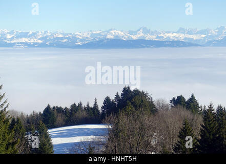 Genf. 13. Februar 2017. Foto aufgenommen am 13. Februar 2017 zeigt ein Meer der Wolken über dem Genfer See. Bildnachweis: Xu Jinquan/Xinhua/Alamy Live-Nachrichten Stockfoto