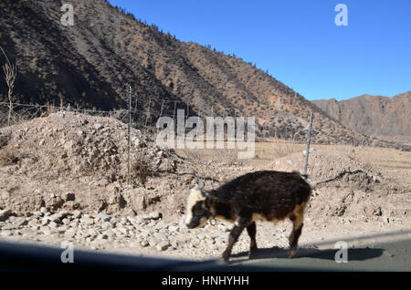 China. 14. Februar 2017. Die kurvenreiche Straße aus Sichuan, Tibet, genannt "72 Bögen in Nujiang Flusses", ist eine 12 Kilometer lange Straße von der Höhe von 3.100 Meter bis 4.651 Meter. Bildnachweis: SIPA Asien/ZUMA Draht/Alamy Live-Nachrichten Stockfoto